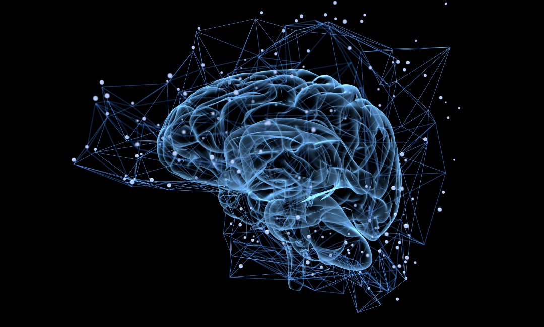 RPA, AI e cervello umano: quali le somiglianze e le differenze