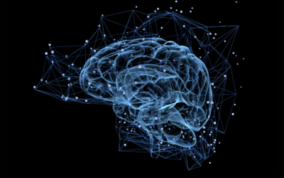 RPA, AI e cervello umano: quali le somiglianze e le differenze